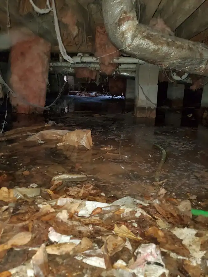 Crawl space flood assessment for Commercial Water Damage Restoration in Belen